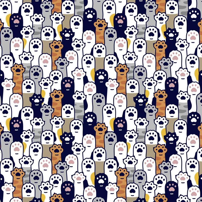 Animales T1